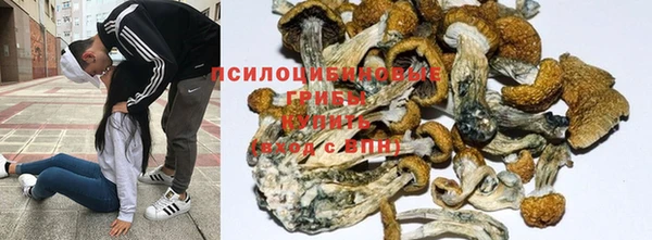 альфа пвп Баксан